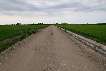 IMG_7961 (Copy)